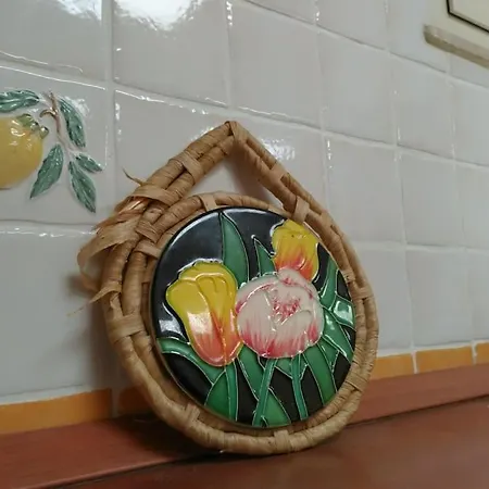 Alex's Place