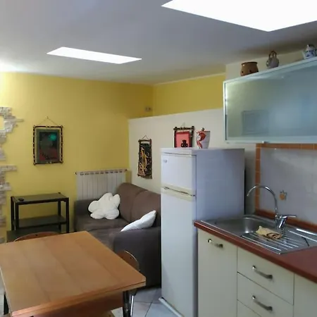 Alex's Place
